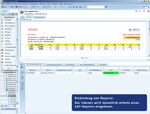 Einbindung von Reports: Der Umsatz wird monatlich mittels eines SAP-Reports eingelesen.