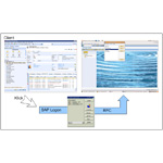 Die Aufrufschnittstelle nutzt SAPLogon, um einen RFC-Aufruf an SAP abzusetzen. Mitgelieferte Parameter steuern zielgenau die gewünschte Information an