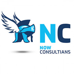 NOW CONSULTIANS GmbH & Co. KG